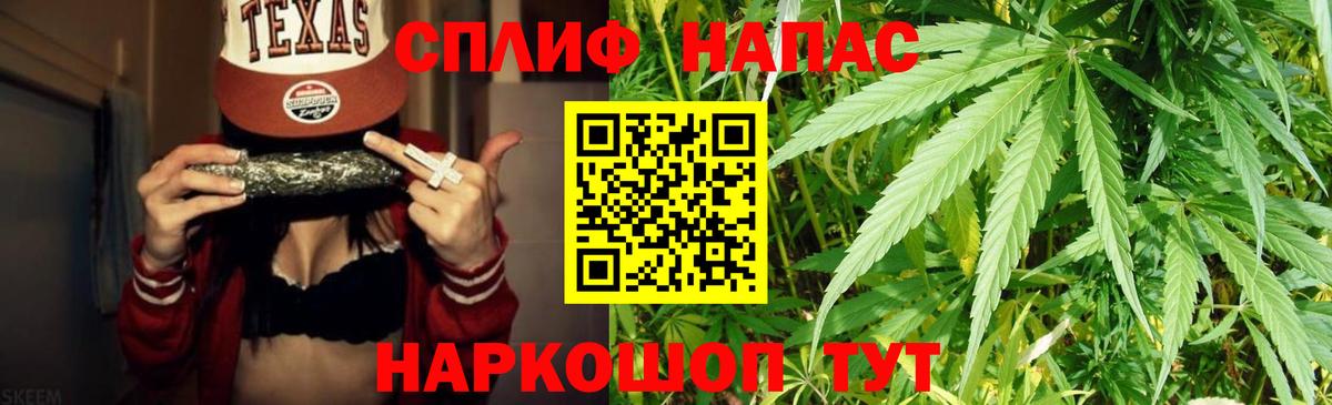 Каннабис OG Kush Сунжа